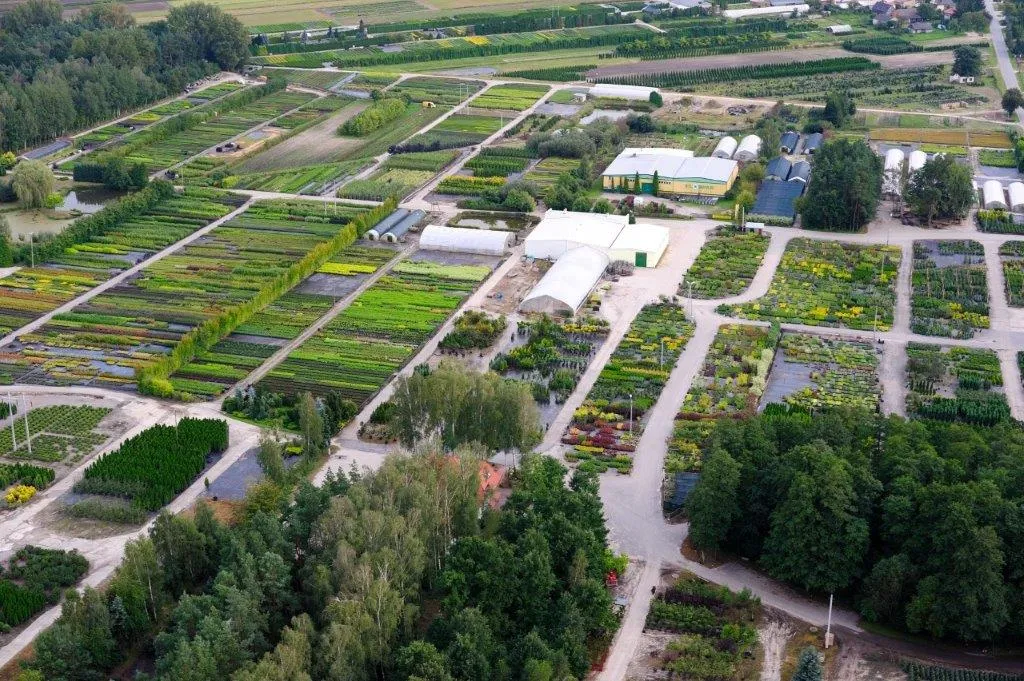 Раслінны гадавальнік