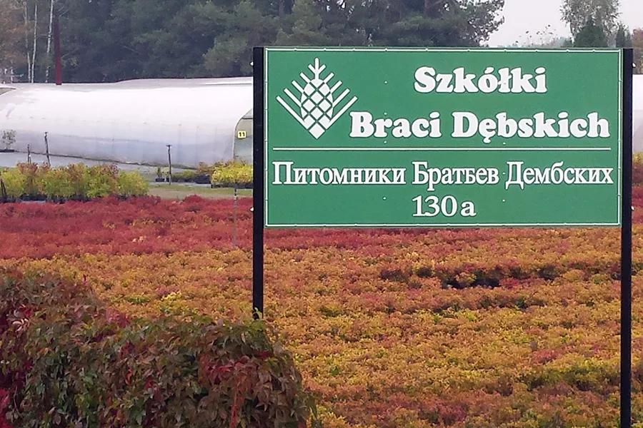 Шматгадовыя расліны