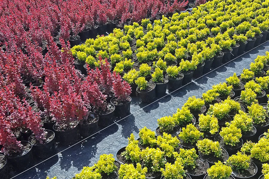 Пад'язная дарога ў нашым дзіцячым садку