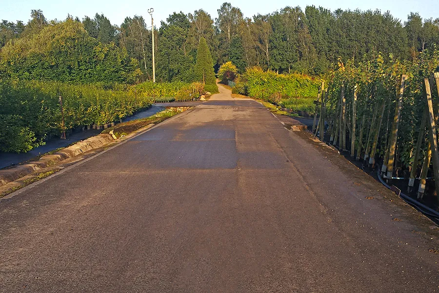 Плошча продажаў